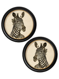 Zebra Illustrations in Round Frame
