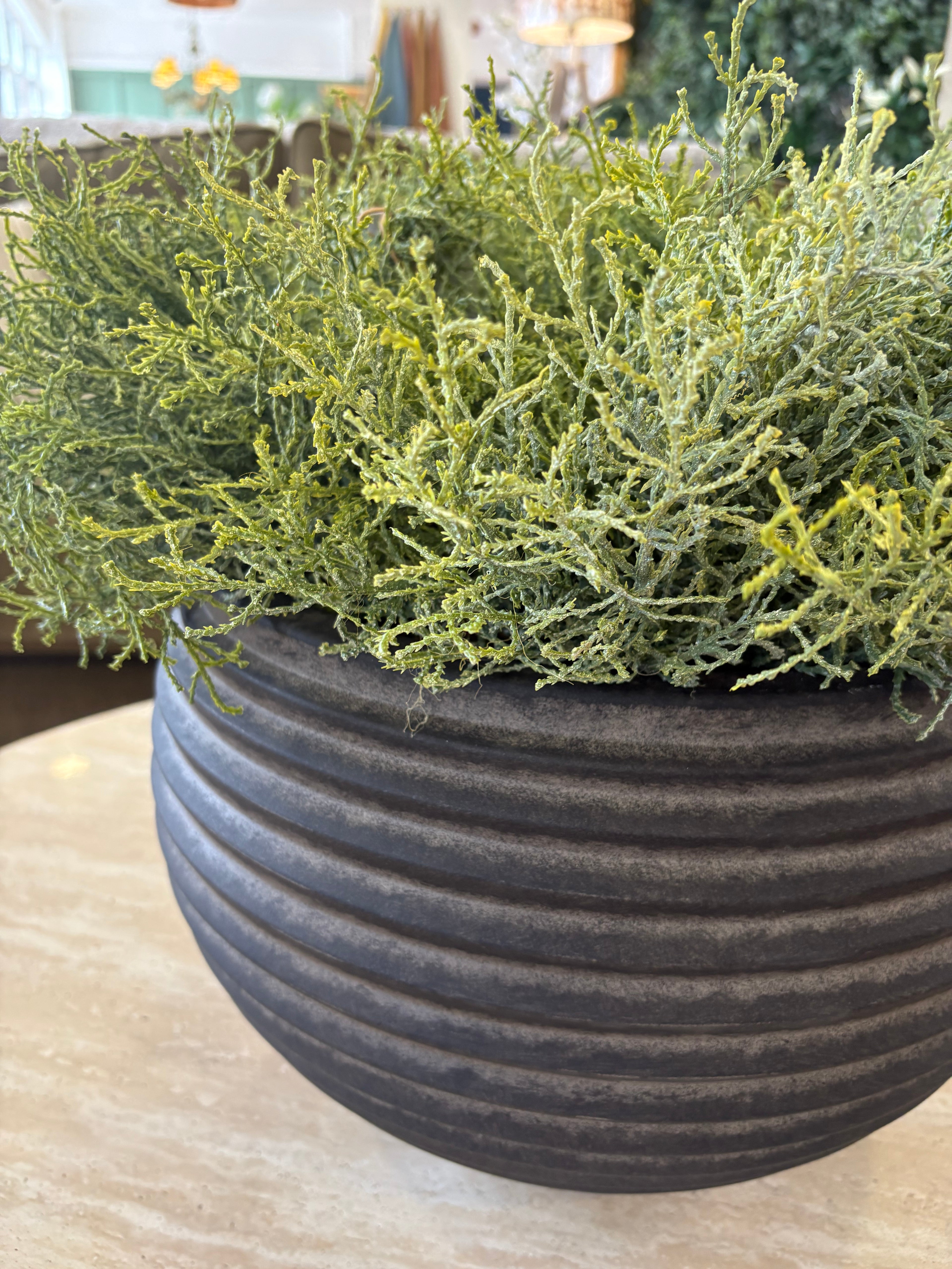 AN CORAL IN TWIZELL LRG BLACK POT 36CM