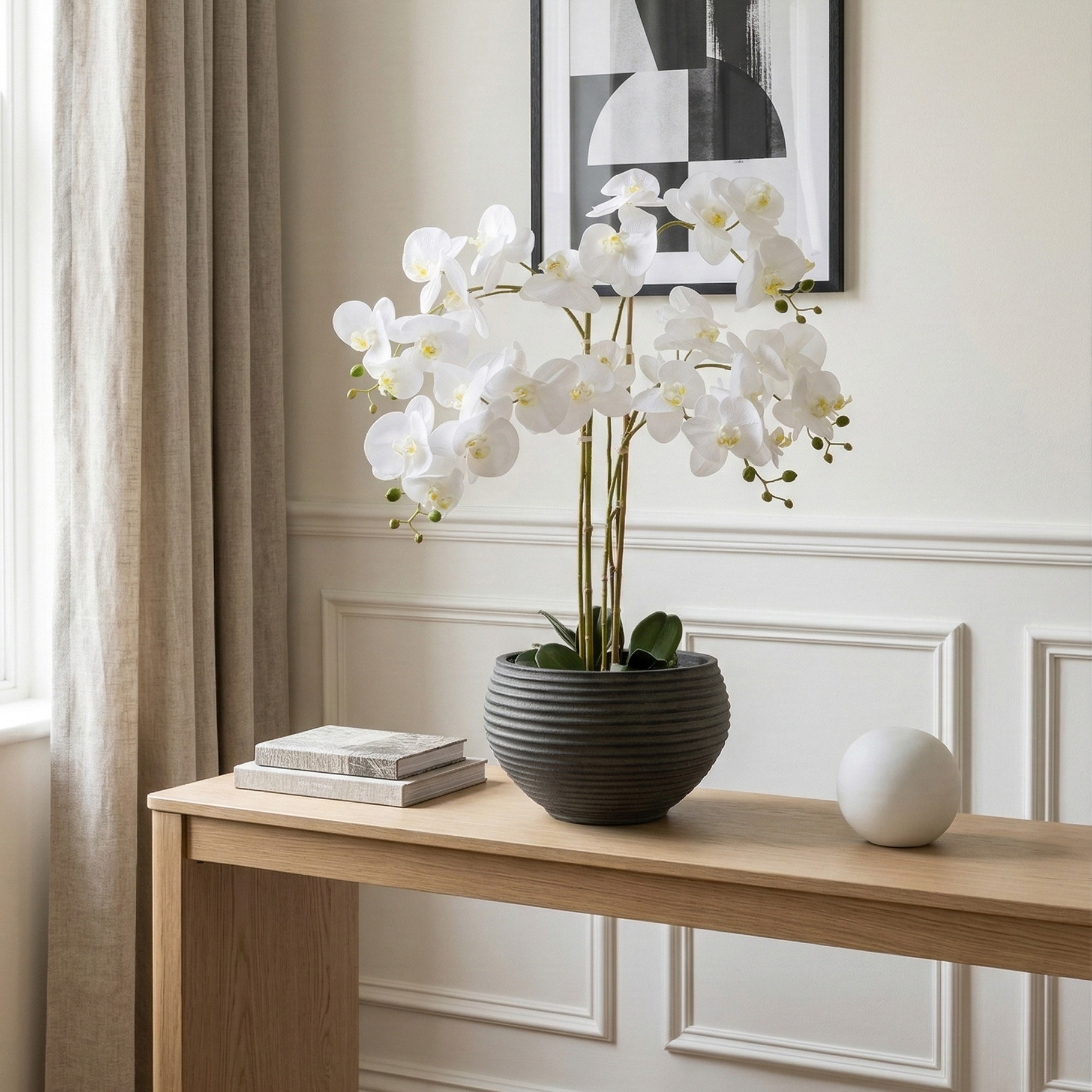 ORCHID WHITE IN TWIZELL BLACK POT 100CM