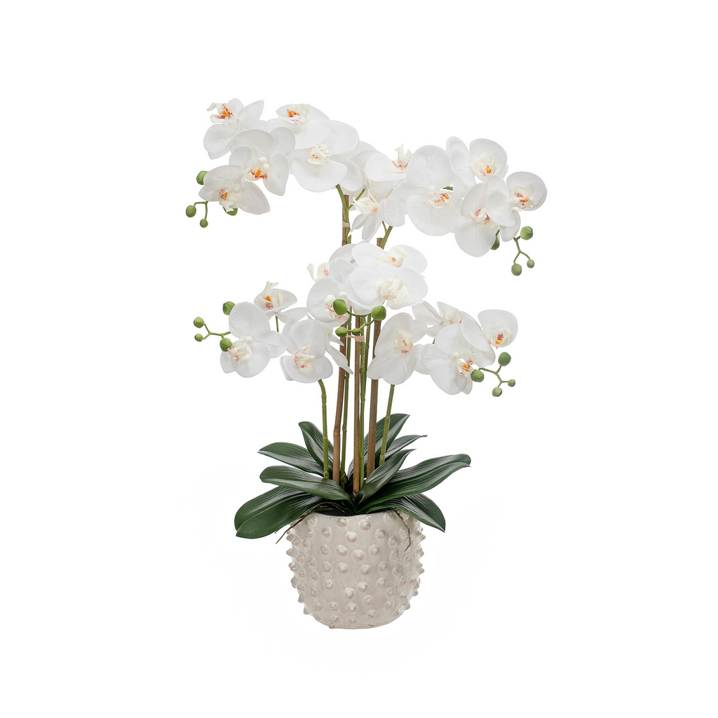 PHALAENOPSIS REAL TOUCH IN POT WHITE YA 66CM