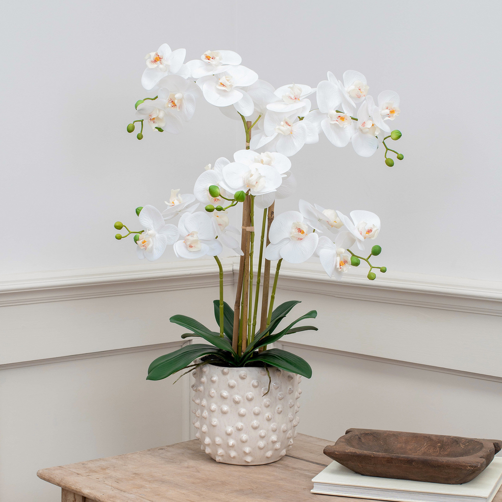 PHALAENOPSIS REAL TOUCH IN POT WHITE YA 66CM
