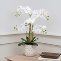 PHALAENOPSIS REAL TOUCH IN POT WHITE YA 66CM