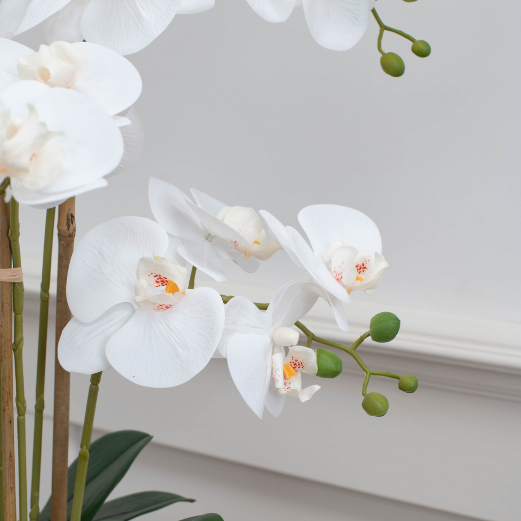PHALAENOPSIS REAL TOUCH IN POT WHITE YA 66CM
