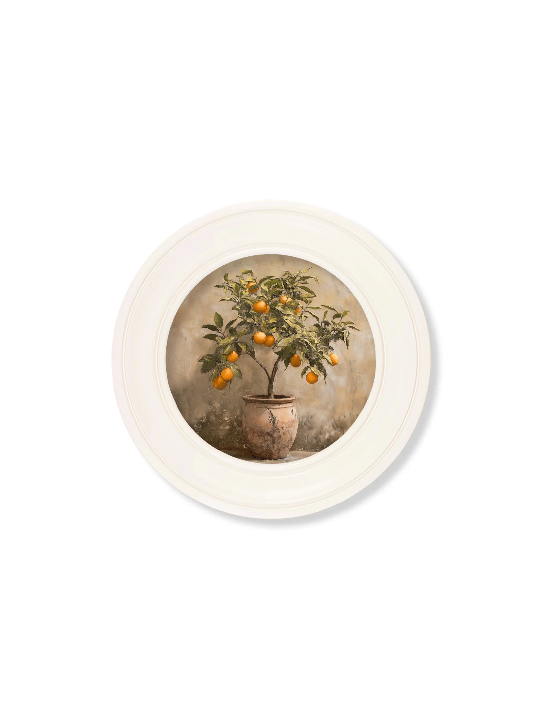 Mediterranean Orange Tree - Oxford Strong White Round Frame Mediterranean Orange Tree
